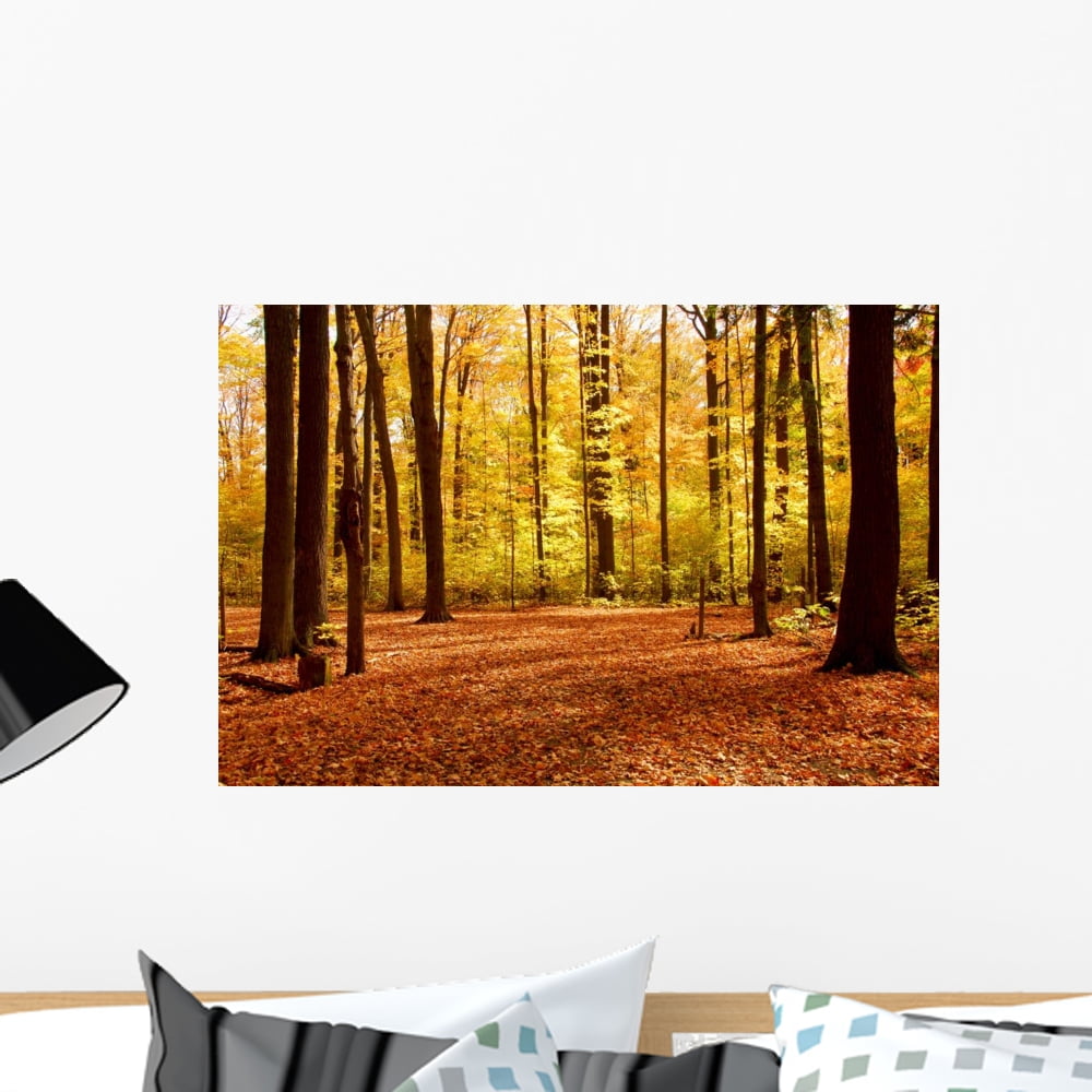 Fall Forest Landscape Wall Mural by Wallmonkeys Peel and Stick Graphic