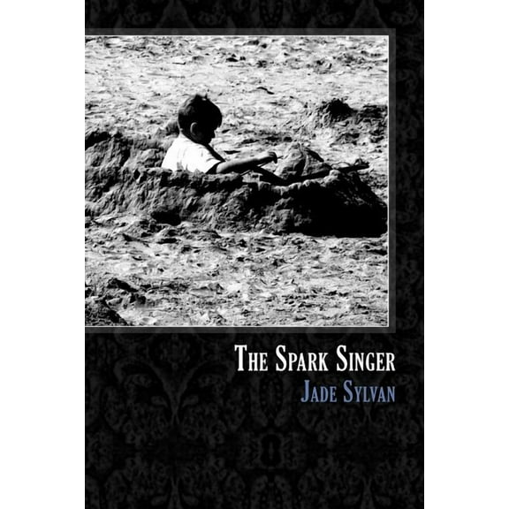 The Spark Singer (Paperback)