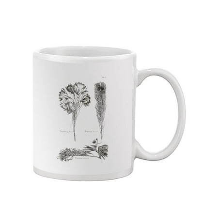 

Protea On Linen I Mug - Vision Studio Designs
