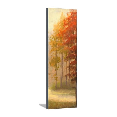 fall trees i stretched