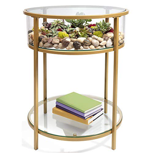 Deco Round Terrarium Display End Table with Reinforced Glass in Gold