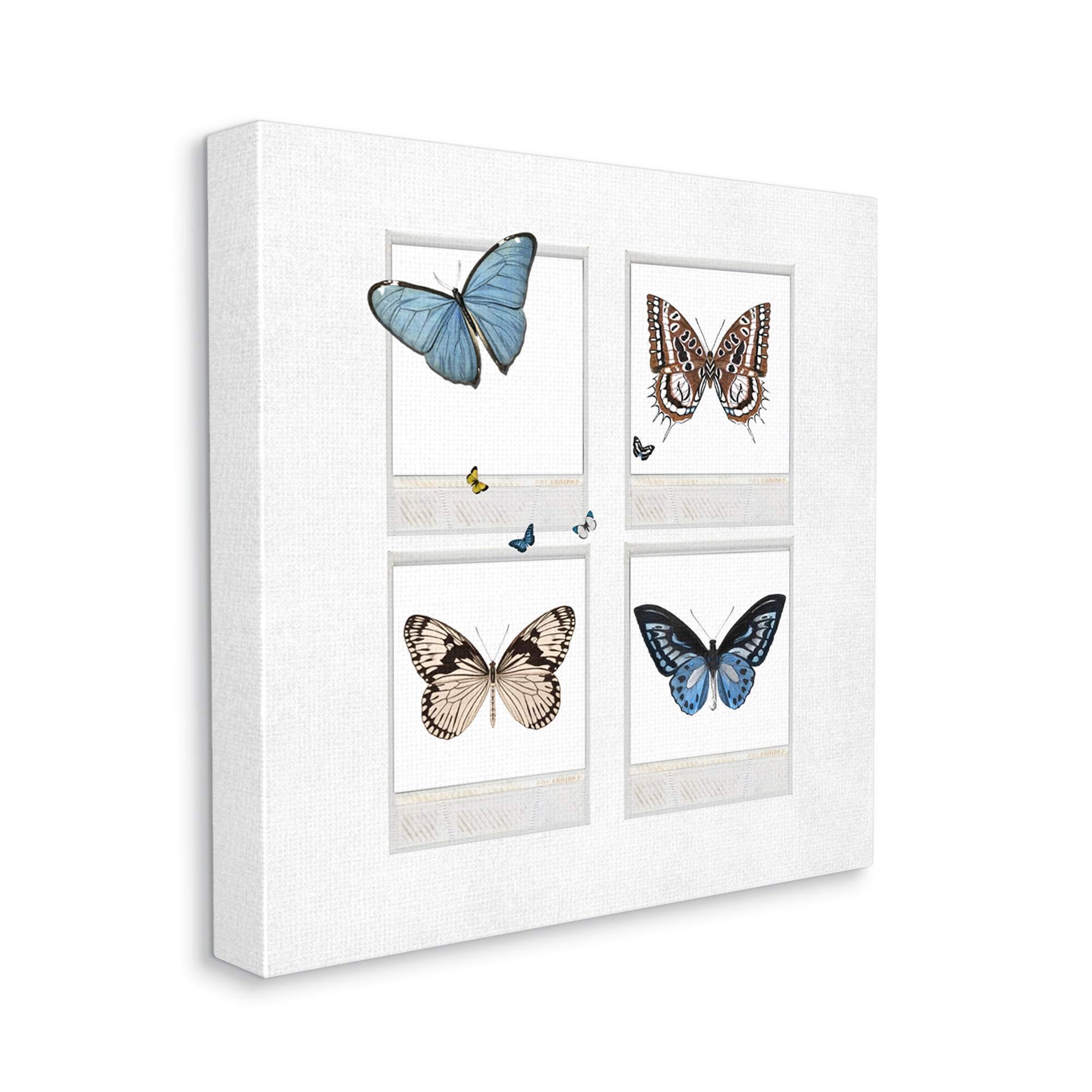 Stupell Butterflies Vintage Film Nature Animals & Insects Painting Gallery Wrapped Canvas Print Wall Art