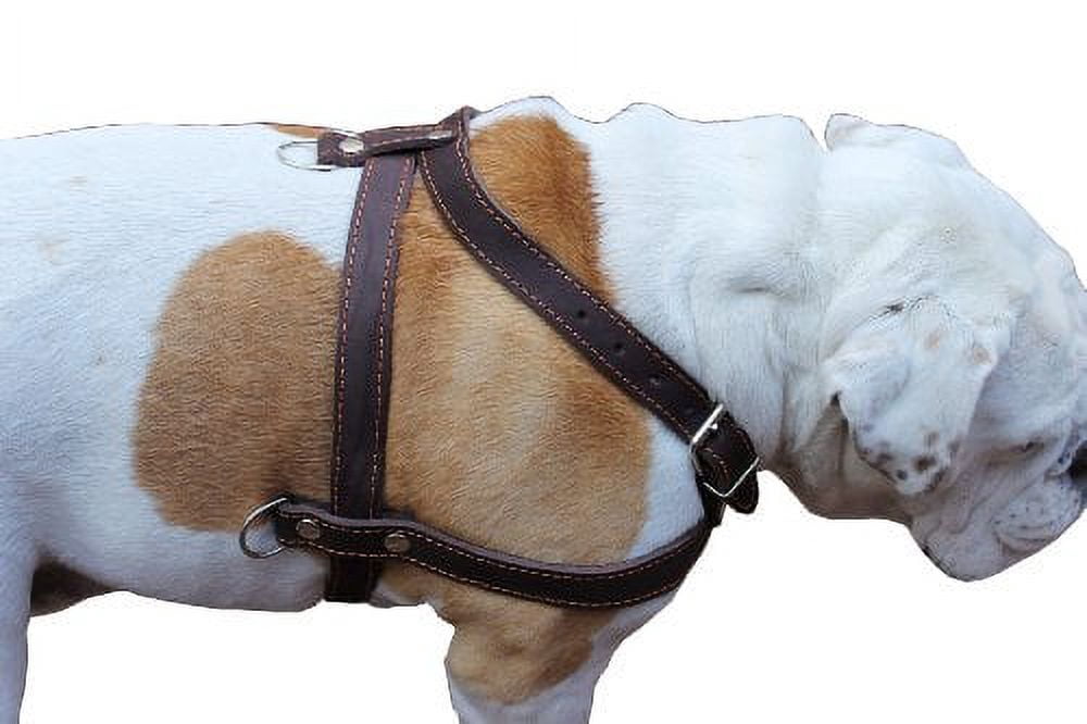 High Quality Leather Dog Pulling Walking Harness . 33"-37" Chest, 1" Wide Straps. Pitt Bull, Rottweiler