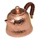 thumbnail image 5 of Tetera de latón con mango para del té chino, hervidor de agua, tetera de kungfú para acampar, restaurante, hogar y exteriores, 5 of 9