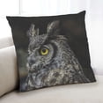 thumbnail image 1 of Ahgly Company Animals Owl Indoor Throw Pillow, 18 inch by 18 inch, 1 of 6