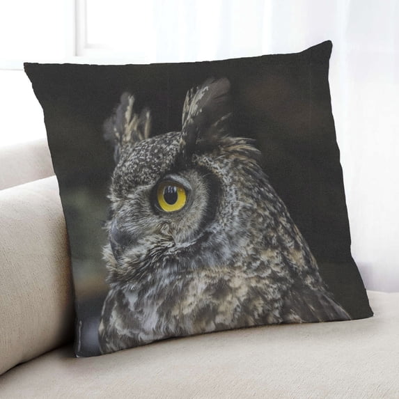 Ahgly Company Animals Owl Indoor Throw Pillow, 18 inch by 18 inch