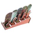 thumbnail image 2 of MOVTOTOP Human Evolution Puzzle For Kids Science Toys Puzzle Science Model Brain Teasers Games Popular Science Model Stem Toys Brain Teasers Model Kits Human Physiology, 2 of 8