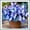 Hosta-C, variant on Perennial Butterfly Flower Hostas— Low-Maintenance-Spotted Hostas  — Perennial Garden Favorites — An Ideal Choice(Non-Artificial)-10 color options
