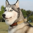 thumbnail image 4 of Reflective Adjustable Dog Collar for NightSafety, Soft Padded Nylon with Metal Buckle & Handle, 4 of 9