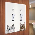 thumbnail image 3 of WIRESTER 2-Gang Toggle Wall Plate/Switch Plate Cover, Animal White Silver Point Ragdoll Maine Coon Cats, 3 of 6