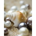 thumbnail image 2 of Maihara/Watt, Jeff/Boyce 15x18 White Modern Wood Framed Museum Art Print Titled - Sea Jewels I, 2 of 4