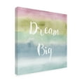 thumbnail image 4 of Trademark Fine Art "Rainbow Seeds XIV Cool Dream" Canvas Art by Lisa Audit, 4 of 4