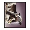 thumbnail image 2 of RYLABLUE Cow Blanket Fleece Throw Blanket for Sofa or Bed 58x80 inches, 2 of 3