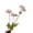 Light Pink, variant on D-GROEE 3PCS Artificial Flowers Bundle Fake Plants Faux Silk Corn Poppy Flowers Multicolor UV Resistant Colorful Floral for Vase Arrangements Outdoor Decoration