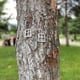 thumbnail image 4 of Merry Christmas Courtyard Garden White Small Window Handicraft Ornaments, 4 of 8