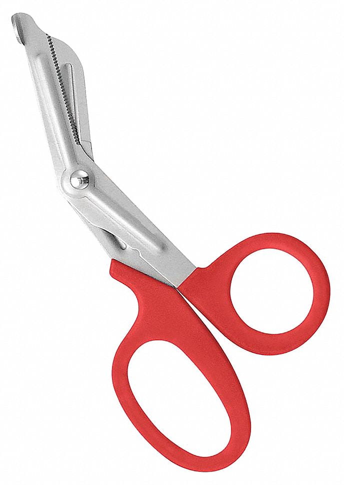 Clauss Muscle Shears, 7', Bent, Serrated and Smooth Blades