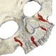 thumbnail image 5 of GAXIRE Máscara de media cara con forma de calavera y patrón de sangre para Halloween, ideal para mascaradas, 5 of 6