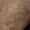 Beige, variant on Miluxas Women Mid Calf Boots Suede Calf High Boots Flats Heel Long Boots Wide Calf Winter Boots Round Toe Flat Boots Khaki 43