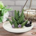 thumbnail image 2 of Aloe-Ring-Holder Jewelry-Tray Ceramic Cactus-Ring-Dish Trinket Tray for Best Friends Gifts Women Her Mom Sister Coworker Christmas-Gifts, 2 of 7