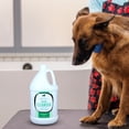 thumbnail image 3 of Groomer Essentials Ear Cleanser - Gallon, 3 of 7