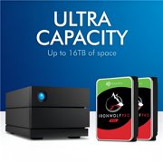 40TB 2BIG RAID Ent. W Rescue