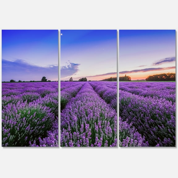 Designart ' Dramatic Clouds and Sunrise Over Lavender Field II ' Farmhouse Canvas Wall Art Print
