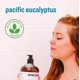 thumbnail image 5 of Everyone 3-in-1 Soap, Body Wash, Bubble Bath, Shampoo, 32 Ounce (Pack of 2), Pacific Eucalyptus, Coconut Cleanser with Plant Extracts and Pure Essential Oils, 5 of 7