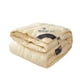 thumbnail image 2 of Hotel Duvet White Down Warm Quilt Thickened Winter Quilt Spring And Fall Summer Cool Quilt Twill Milled Quilt, 2 of 6