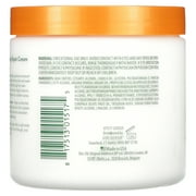 Cantu, Argan Oil Leave-In Conditioning Repair Cream, 16 oz (453 g)