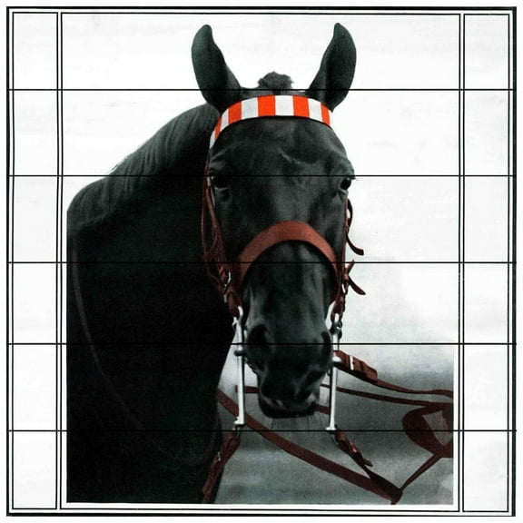 Marmont Hill Mh-Fmkit-27-Ww-32 32" x 32" "Journal Horse" Giclee Art Print On Wood