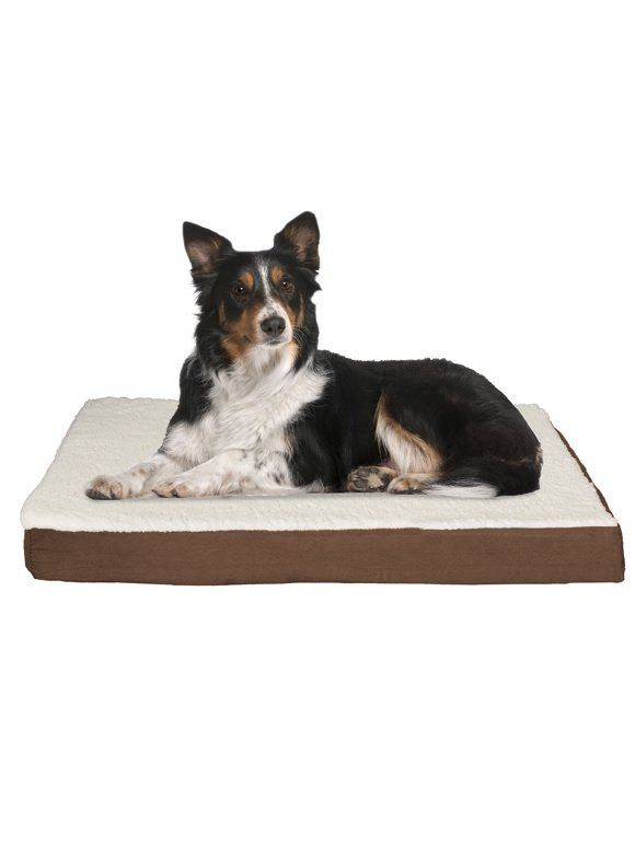 Large Dog Beds in Dog Beds