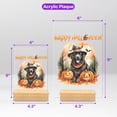 thumbnail image 5 of Happy Halloween Newfoundland Witches Hat Pumpkin Carving Acrylic Plaque Sign Ashwood Base Newfie Dog Lover Gifts Home Desk Decor - 02019, 5 of 5