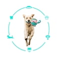 thumbnail image 5 of Interactive Outdoor Fly Ball Flying Saucer Ball Interesting Dog Soccer Toy with Straps Pink Blue, 5 of 5