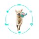 thumbnail image 5 of Interactive Outdoor Fly Ball Flying Saucer Ball Interesting Dog Soccer Toy with Straps Pink Blue, 5 of 5
