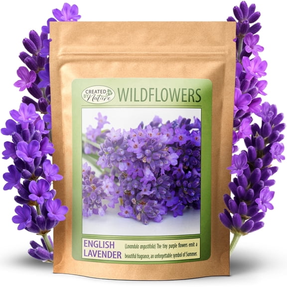 Created By Nature English Lavender Seeds, 3,000 Purple Perennial Wildflower Seeds