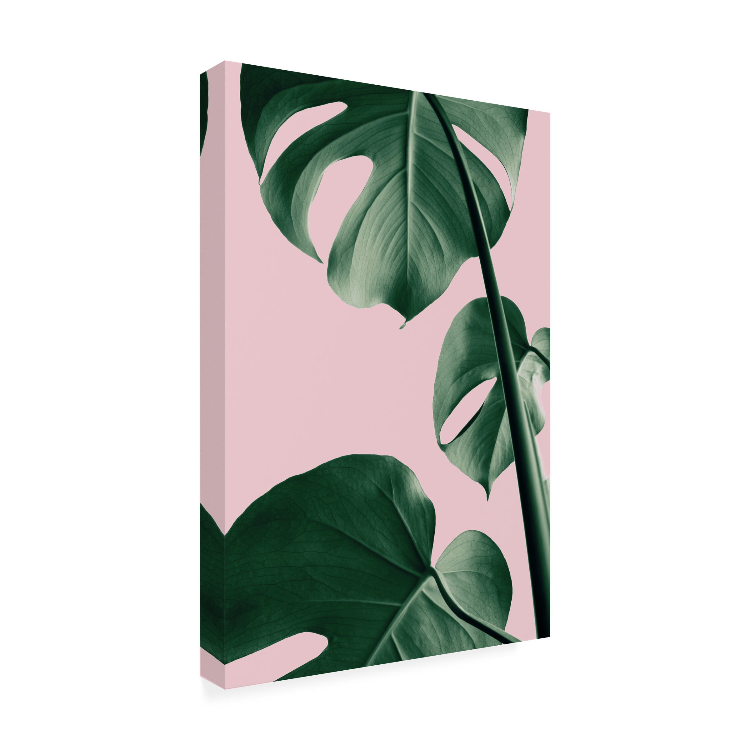 1X Studio Iii 'Monstera Pink No 06' Canvas Art