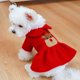 thumbnail image 1 of Ropa para mascotas Otoño Invierno Cálido Festival de Navidad Vestido de pareja de Navidad Suministros para mascotas, 1 of 4