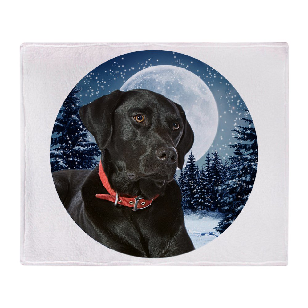 CafePress Black Lab Soft Fleece Throw Blanket, 50"x60" Stadium