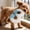 3, variant on Plush Number Animal Dog & Cat Squeaky Toy, Soft Interactive Chew Toy with Cartoon Shapes for Training, Play & Emotional Comfort for Pets(9,One Size)