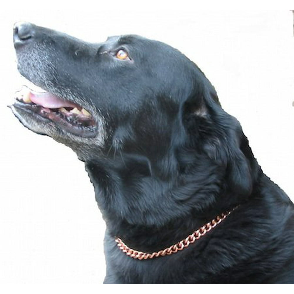 Copper Therapy Dog Collars Made to measure in Solid Copper