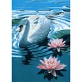 thumbnail image 1 of Cuadros Decorativos Kit de pintura de diamante de taladro redondo completo 5D DIY Swan in Lake (NH1021) Likrtyny embutido en tela, 1 of 6