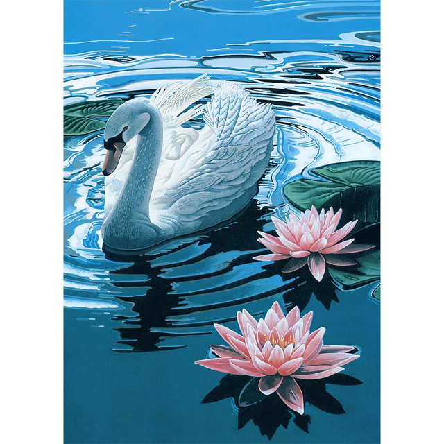 Cuadros Decorativos Kit de pintura de diamante de taladro redondo completo 5D DIY Swan in Lake (NH1021) Likrtyny embutido en tela