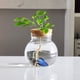 thumbnail image 5 of Jarrón de vidrio hidropónico creativo, micropaisaje transparente, decoración ecológica para pecera, arreglo floral con plantas hidropónicas de rábano verde, manualidades, 5 of 6