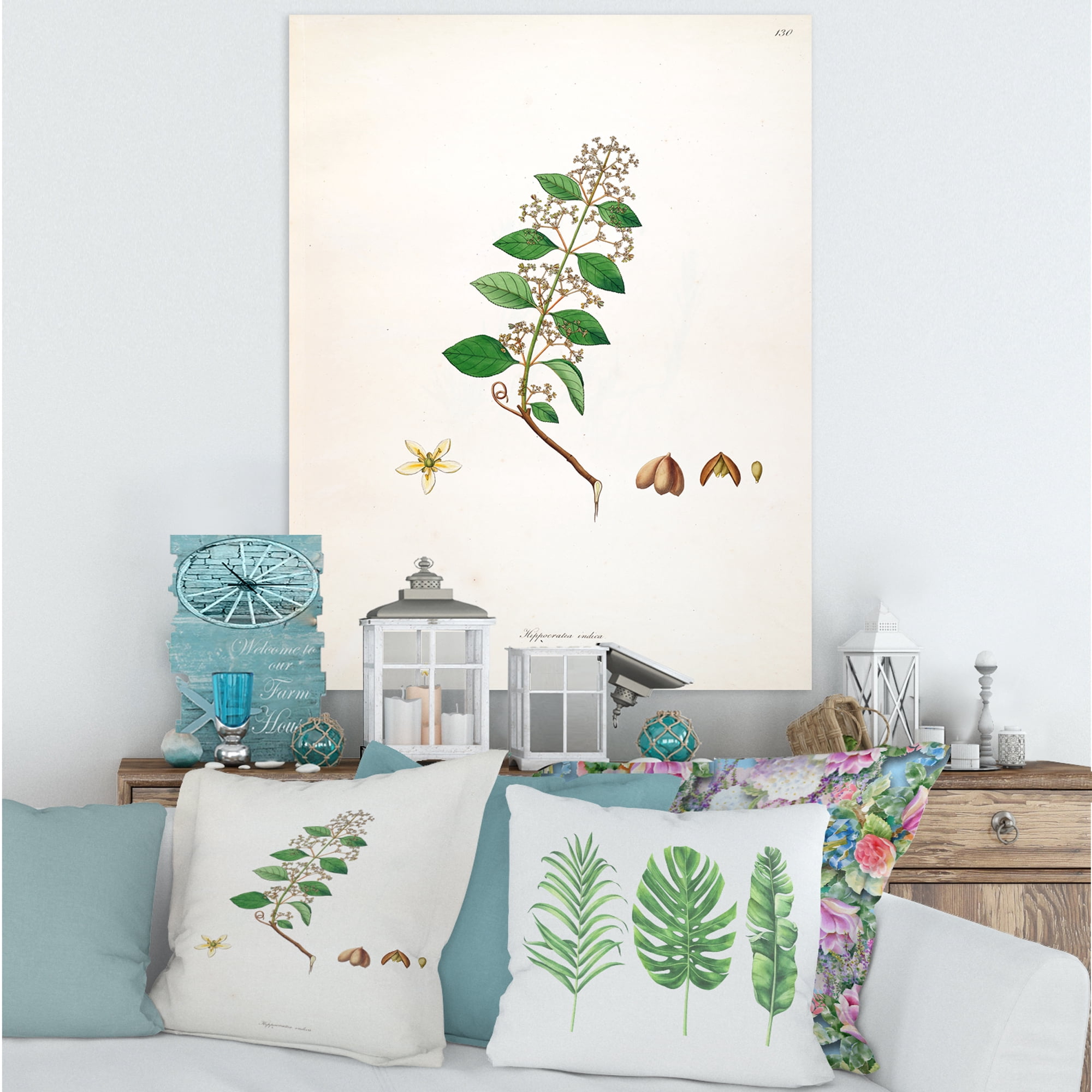 Designart ' Ancient Botanicals I ' Farmhouse Canvas Wall Art Print