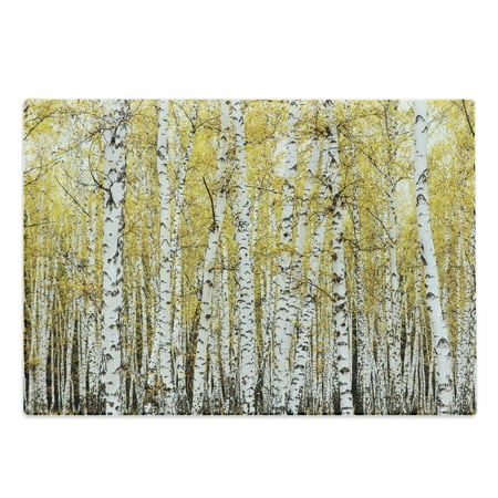 

Forest Cutting Board Autumn Birch Forest Golden Yellow Leaves Woodland October Seasonal Nature Picture Decorative Tempered Glass Cutting and Serving Board Large Size Yellow Grey by Ambesonne