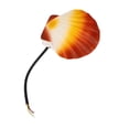 thumbnail image 4 of Applique Murale, Applique Murale en Forme de Coquille IP65 pour Extérieur pour Cour, 4 of 8