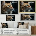 thumbnail image 4 of Designart "Pensive Chartreux Cat Gaze" Animals Cat Floater Framed Wall Decor, 4 of 5