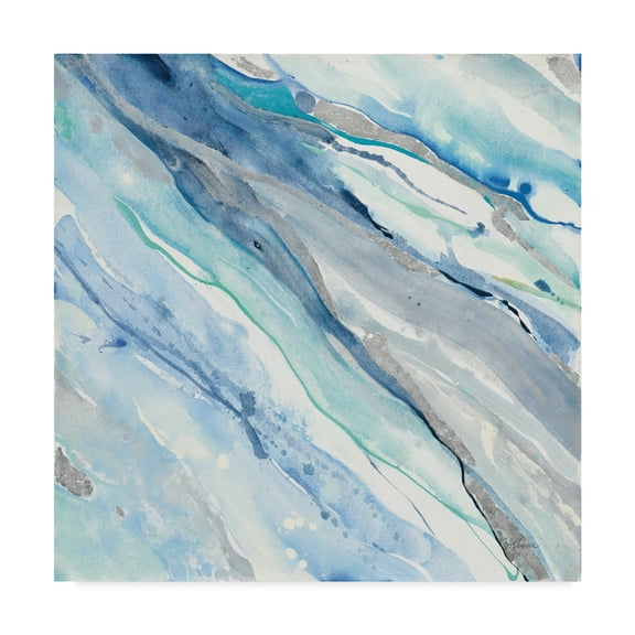 Trademark Fine Art 'Silver Spring II' Canvas Art by Albena Hristova