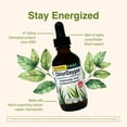 thumbnail image 5 of ChlorOxygen Chlorophyll Concentrate Original 2 oz, 5 of 8