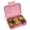 PINK, variant on Aohea Dinosaur Themed Multi-Compartment Bento Box, Leak-Proof Lunch Container, Tritan Inner Tray & ABS Shell, 35/125/500ml, 210×147×45mm